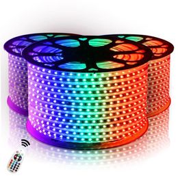 110V Led Strips 10M 50M High Voltage SMD 5050 RGB Led Strips Lights Waterproof IR Remote Control Power Supply296V