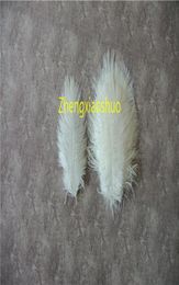 Prefect Natural Ostrich Feather white 58 inch wedding Centerpieces Wedding Decoration party supply decor8823156