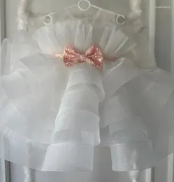 Girl Dresses Fluffy Flower White Ruffle Toddler Tutu Birthday Party Princess Gown Kid Size 12M 24M With Bow