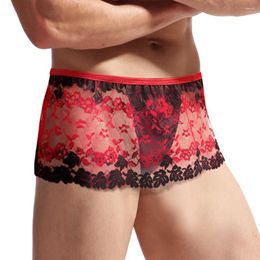 Underpants Sexy Men Sissy Lace Lingerie Skirt Panties Gay Underwear Sheer Boxer Briefs Clubwear Erotic Langerie U Convex Scrotum