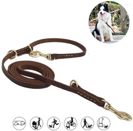 Dog Collars Multifunctional Genuine Leather Pet Leash Strong Hands Free Lead For Small And Large Animals Luxury 250x1.2cm