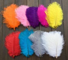 100pcs 1015cm Feather Ostrich Tails Tail Feathers Fan For Sewing Apparel Wedding Party Home Decoration3120553