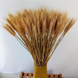 200 Pcs Dried Natural Triticum Wheat Bundle Flower Arrangement Home Table Wedding Party Centerpieces Decorative 24''tall246b