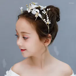 Hair Clips Girls Crystal Birthday Tiaras Dragonfly Headpiece Children Accessories Bride Headband