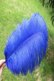 Whole 100 pcslot 1416inch Royal Blue Ostrich Feather for wedding centerpieces feather centerpiece wedding decor4552513