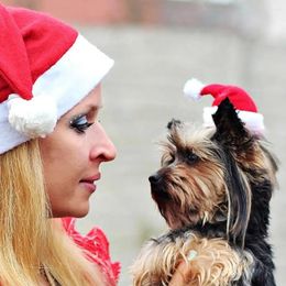 Dog Apparel Christmas Hats For Cats Festive Pet Santa Adorable Comfortable Anti-fall Costumes Dogs Pets