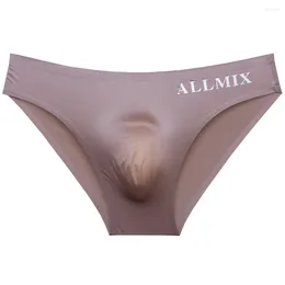 Underpants Men Summer Ice Silk Breathable Briefs Sexy Package Egg Pouch Erotic Panties Low Waist Underwear Swimwear Lingerie