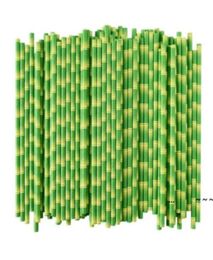 newBiodegradable Bamboo Straw Paper Green Straws Eco Friendly 25 Pcs a Lot on Promotion EWE57437940755