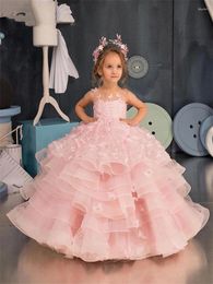 Girl Dresses Pink Butterfly Applique Flower Dress For Wedding Puffy Princess Kids Party Prom Birthday Pageant First Communion Ball Gowns