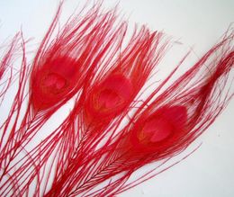 100pcs per lot 1012inch2530cm red PEACOCK Feather for ornamentationdisplayjewelry party supplies4550191