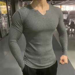 Men's T Shirts Fashion V-Neck Solid Color Long Sleeve Korean T-Shirt Clothing 2024 Spring Slim All-match Tops Casual Tee Shirt