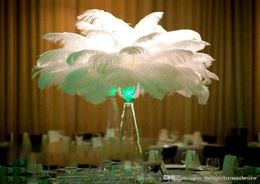 Ostrich Feather 1 pack 100 pcs 1520cm Festival Feather Wedding Decoration Party Table Decoration 12 Colours Feather Craft Supply B5651457