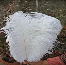 Whole 100pcslot 1820inch white Ostrich Feather plume for wedding centerpiece feative supplies party decor3571536