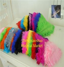 whole 100pcslot 1416inch White black red light pink pink royal blue turquoise orange purple Ostrich Feather Wedding cent9950760