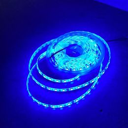 60 Leds M Blue Waterproof Light Strip Set DC12V 5M Tape Light LED Human Infrared Sensor 12V3A Power Supply Adapter EU plug263s