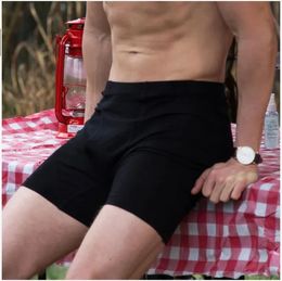 Underpants Men Underwear Boxer Brief 100 Merino Wool 9inch Performance Wicking Breathable Soft USA Size S2XL 231212