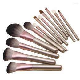 Makeup Brushes 12 Brush Set Blush Eyeshadow Loose Wool Bristles Soft Skin Multi-functional Beauty Tool