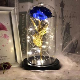 2021 Led Enchanted Galaxy Rose Eternal Foil Flower With Fairy String Lights In Dome For Christmas Valentine's Day Gift Navida187L
