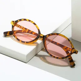 Sunglasses Zhang Yuanying Tortoiseshell-colored Nerd Glasses Female European And American Personality Oval Frame Retro Trend