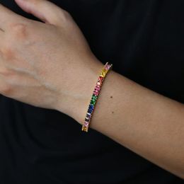 2019 New Chic Deisgn Rainbow Tennis Bracelet Colourful Zircon Chain Bangle Simple Fashion Bangles Jewellery For Women Ladies Gifts272C