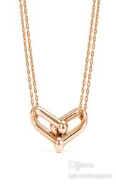 Diamond Necklace Choker mens Jewellery men chain necklaces women Gold platinum rosePendant 40-45cm Statement locket Silver butterfly Gift Horseshoe 6 Option5304028