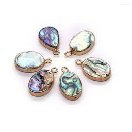 Pendant Necklaces Natural Abalone Shell Pendants Oval Egg-shaped Charms For Jewelry Making DIY Necklace Earrings Fashion Accessories