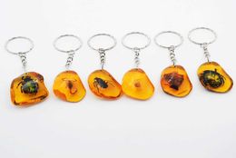 6pcsSet Real Scorpion Key Chain New Luminous Product Real Crab and Scorpion Keychain bag Car key Ring G10197205230