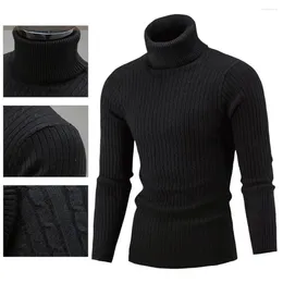 Men's Sweaters Simple Slim Sweater Solid Color Skin-friendly All-matched Twist Turtleneck Male Knitted