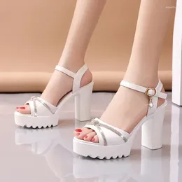 Dress Shoes Fashion Thick Heeled Sandals Sexy High Heels Platform For Women Open Toe Crystal Buckle Pumps Wedding Stripper