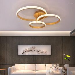 Ceiling Lights Indoor Lighting Bedroom Lamp Living Room Led For Home Light