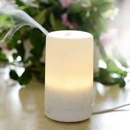 Fragrance Lamps 3 In1 LED Night Light USB Essential Oil Ultrasonic Aromatherapy Protecting Air Humidifier Dry Electric Diffuser 231212