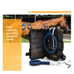 Veterinary Equinpment Horse Health Care Magnetic Therapy Machine Pmst Loop Pemf Loop For Pain Management And Bones Repair Physio Magneto Machine