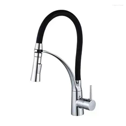 Kitchen Faucets Brass/SUS304 Stainless Steel Faucet And Cold Clean Water Direct Drinking Pull Food