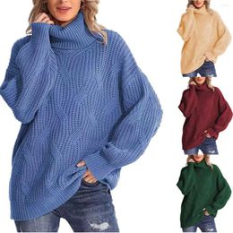 Women's Sweaters Women Turtleneck Knitted Sweater Autumn Winter Bat Long Sleeve Warm Woven Jumpers Female Solid Colour Casual Loose Outerwear