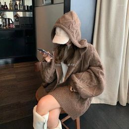 Women's Sweaters Vintage Solid Color Loose Zipper Hooded Sweater For College Korean Versatile Knitted Coat Autunmn Winter 2023 YL117