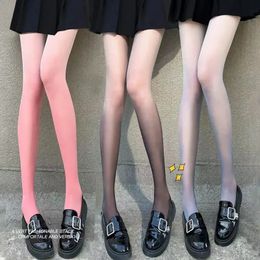 Sexy Sock Pantyhose Tights Gradient Girl Candy Colour Spring Summer Thin Transparent Female Stockings Hosiery 231211