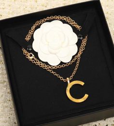 2023 Luxury quality Charm pendant sweater necklace long chain in 18k gold plated have box stamp PS7578A6980531