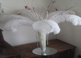 Whole 200 pcs 1214inch White ostrich feather plumes for wedding Centrepiece wedding decoraction feather deor headdress9332646