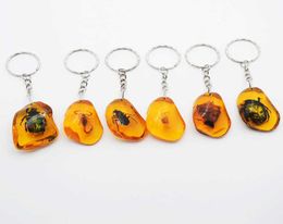 6pcsSet Real Scorpion Key Chain New Luminous Product Real Crab and Scorpion Keychain bag Car key Ring G10191851020