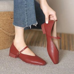 Dress Shoes 2023 Retro Women's Pumps Fashion Shallow Buckle Mary Jane Heels Soft Microfiber Leather Single Low Square Heel Daily