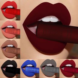 Lip Gloss QI Brand 34 Colours Liquid Lipstick Waterproof Matte Nude Pigment Red Long Lasting Women Makeup Lipgloss 231211