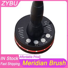 Portable Skin Scraping Electric Meridian EMS Brush Red Light Vibration Micro Current Bio Lifting Infrared Heating Guasha Health Care Physiotherapy Massager