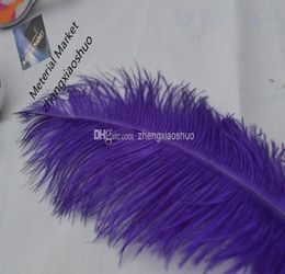 whole 100pcslot 1214inch purple Ostrich Feather for Wedding party event Centrepieces table Centrepiece wedding decor7090210