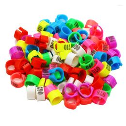 Other Bird Supplies Pigeon Foot Ring Colourful Identification Inner Diameter 10mm NO.1-100 Digital Mark 100 Pcs