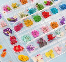 1Box Dried Flowers Dry Plants For Resin Moulds Fillings Epoxy Pendant Necklace Jewellery Making Craft DIY Nail Art Decoration Decorat3262845