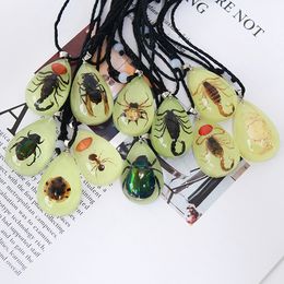 Resin real insect necklace glow-in-the dark insect amber pendant gift