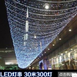 Colour waterproof outdoor LED lights string of Coloured lights flash lamps chandeliers 30M 300LED rope whole277A