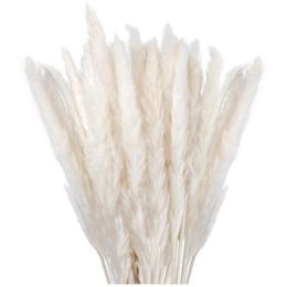 Decorative Flowers & Wreaths Dried Pampas Grass Decor Small Fluffy 30 Pcs 45CM Natural White For Vase Flower Bouquet Arrangement270T