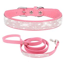 Dog Training Obedience Cat Collar and Leashes Set 231212