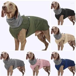 Dog Apparel Autumn And Winter Windproof Pet Jacket Small-large Clothes Weimar Doberman Greyhound Ropa Perro Dogs Accessories